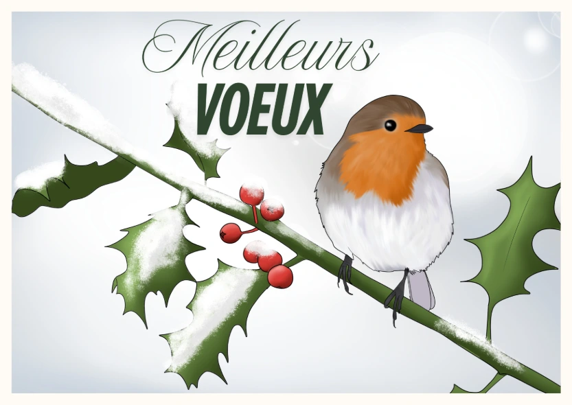 Carte postale - Rougegorge